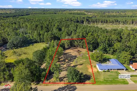 0 Bolinger Cutoff Rd, Plain Dealing, LA 71064
