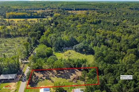 0 Bolinger Cutoff Rd, Plain Dealing, LA 71064 photo 7