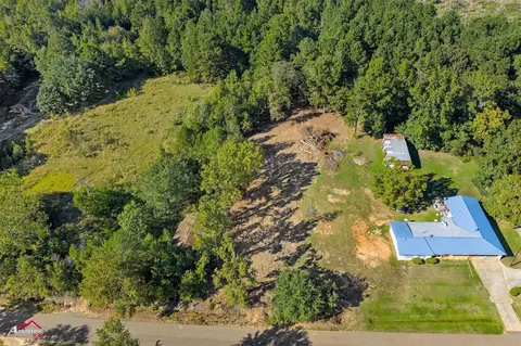 0 Bolinger Cutoff Rd, Plain Dealing, LA 71064 photo 4