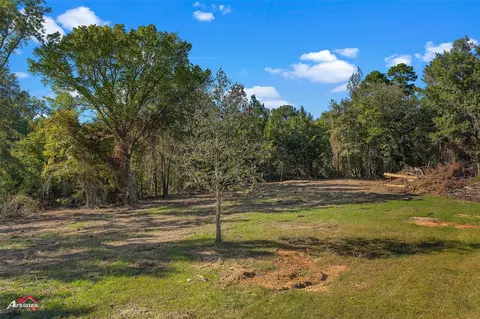 0 Bolinger Cutoff Rd, Plain Dealing, LA 71064 photo 10