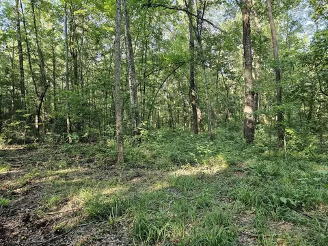 tbd Strickland Rd, Big Sandy, TX 75755
