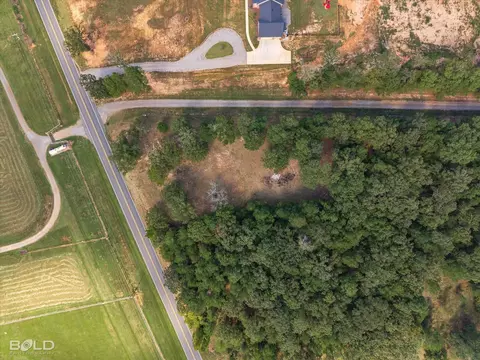 1228 Old Plain Dealing Rd, Benton, LA 71006 photo 8