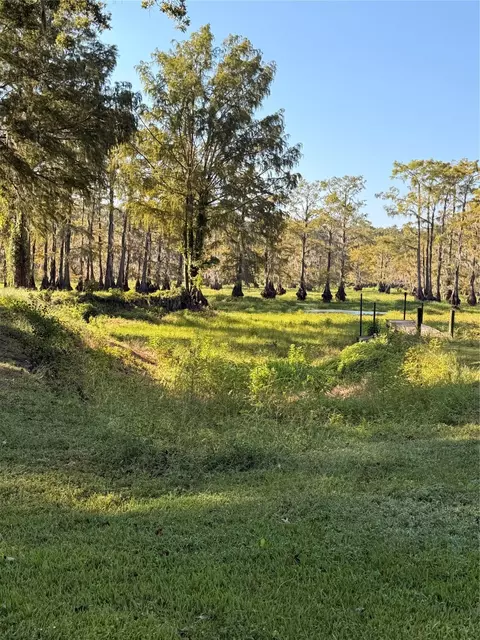 0 Blue Jay, Ringgold, LA 71068 photo 4