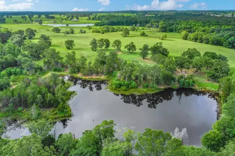 20 Acres Fm 773, Grand Saline, TX 75140