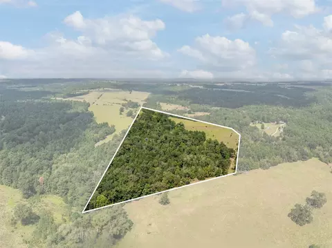 5 An County Road 153, Palestine, TX 75801