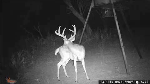 000000 Cr 267, Early, TX 76802