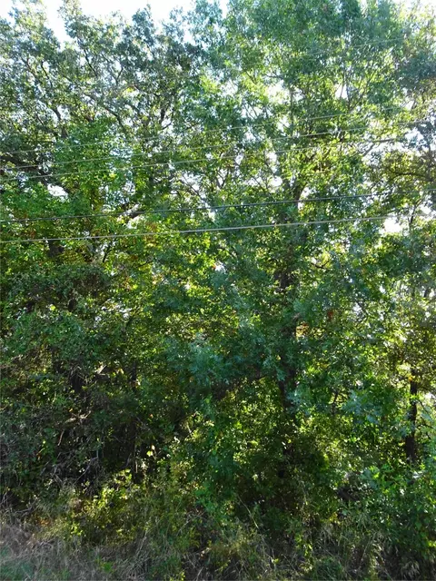232 Softwind, Gun Barrel City, TX 75156