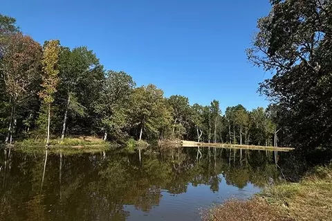 8868 Fm 115, Scroggins, TX 75480