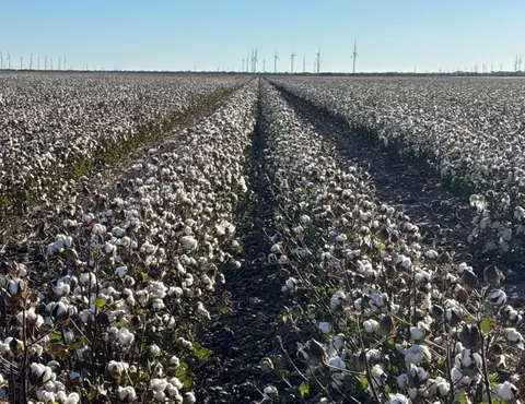00 Cr 164, Weinert, TX 76388