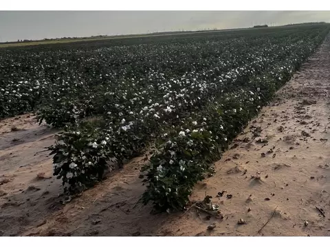 tbd Fm 617, Weinert, TX 76388