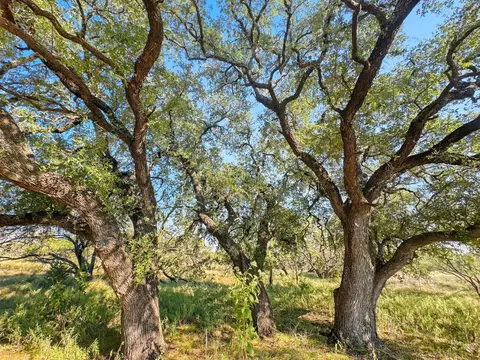 lot15 And 16 Pr 4212, Evant, TX 76525