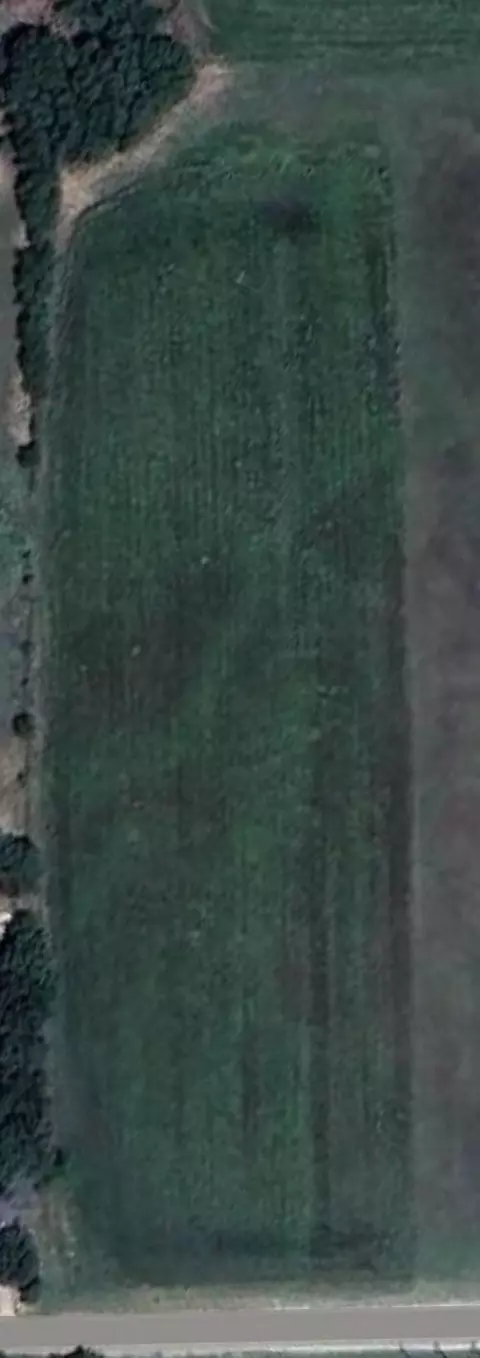1035 Holder Rd, Forreston, TX 76041