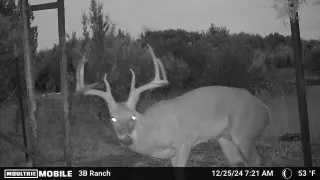 815 Cr 2080, Lometa, TX 76853