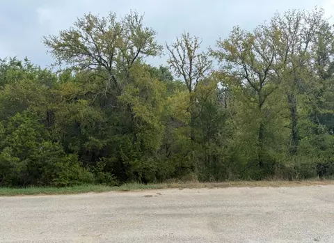 2509 White Oak Trl, Granbury, TX 76048