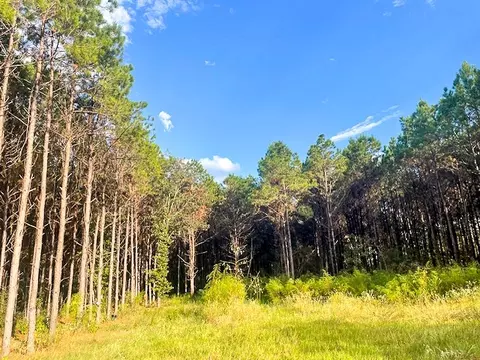3564 Midway Loop E, Livingston, TX 77351