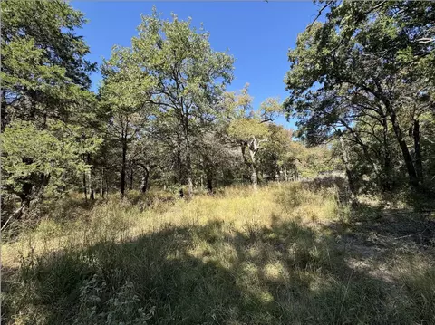 tbd NW 10 Acres Nw County Road 3055, Purdon, TX 76679