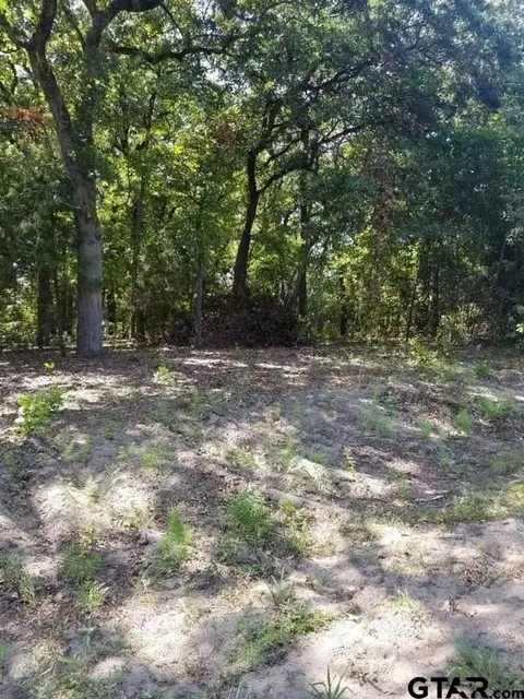 N/a Birch Drive, Murchison, TX 75778