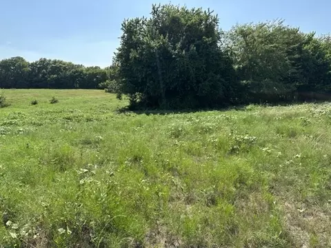 lot2 E Ball St, Tom Bean, TX 75489 photo 8