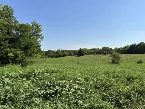 lot2 E Ball St, Tom Bean, TX 75489 photo 10