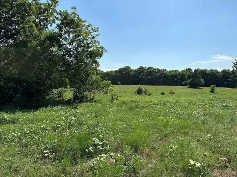 lot2 E Ball St, Tom Bean, TX 75489 photo 7