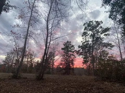 536 An County Road 1233, Palestine, TX 75801
