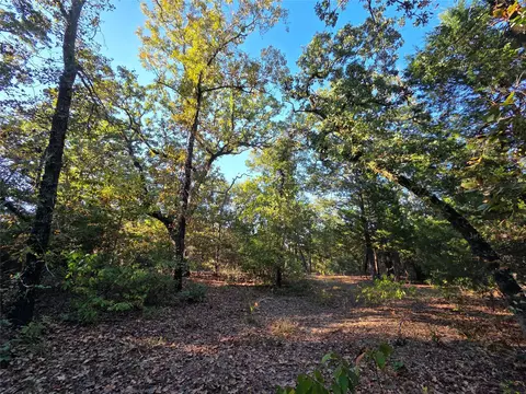lot466 Cr-4710, Larue, TX 75770