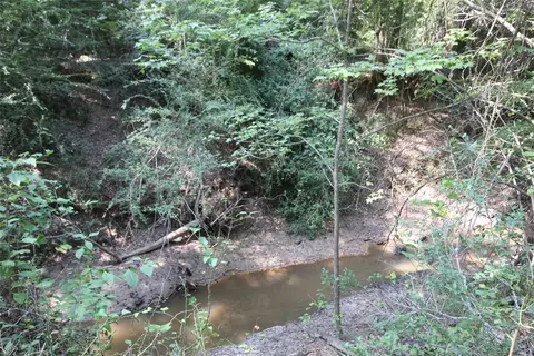 0 Cr 347, Palestine, TX 75802