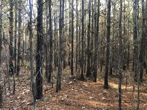 0 Highway 160, Plain Dealing, LA 71064 photo 9