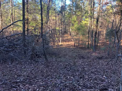 0 Highway 160, Plain Dealing, LA 71064 photo 26