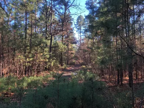 0 Highway 160, Plain Dealing, LA 71064 photo 4