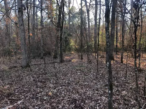 0 Highway 160, Plain Dealing, LA 71064 photo 33
