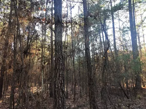0 Highway 160, Plain Dealing, LA 71064 photo 18