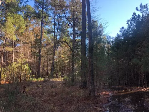 0 Highway 160, Plain Dealing, LA 71064 photo 17