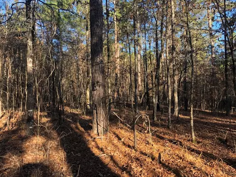 0 Highway 160, Plain Dealing, LA 71064 photo 29