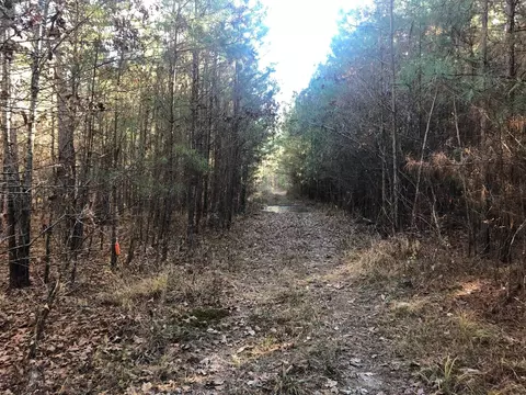 0 Highway 160, Plain Dealing, LA 71064 photo 16