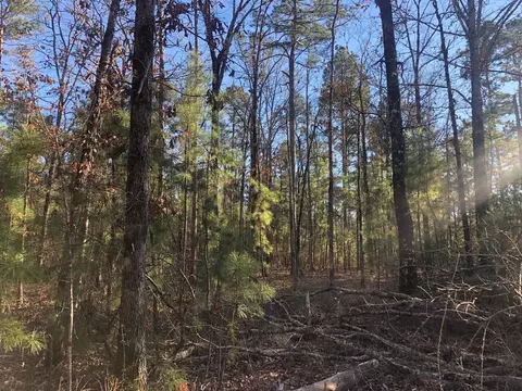 0 Highway 160, Plain Dealing, LA 71064 photo 5