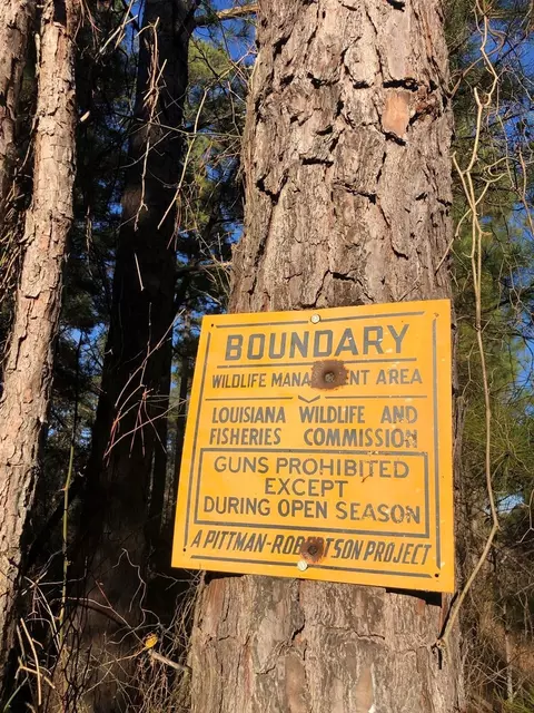 0 Highway 160, Plain Dealing, LA 71064 photo 37