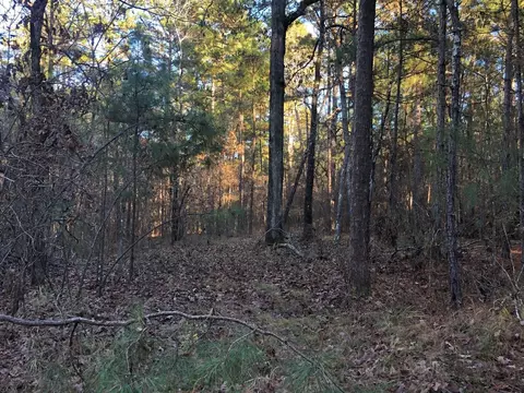 0 Highway 160, Plain Dealing, LA 71064 photo 36
