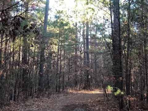 0 Highway 160, Plain Dealing, LA 71064 photo 25