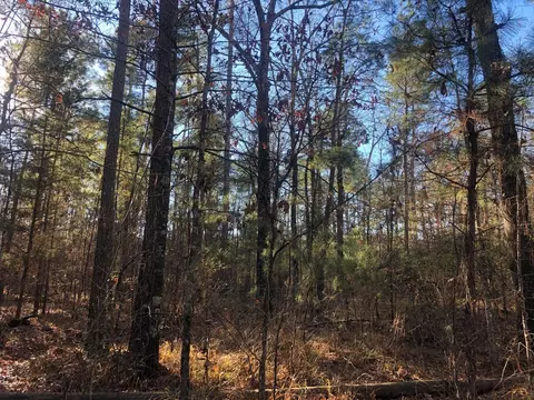 0 Highway 160, Plain Dealing, LA 71064 photo 3