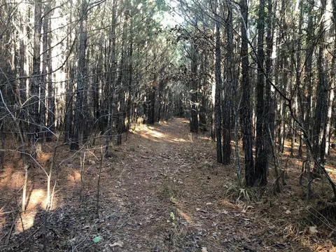 0 Highway 160, Plain Dealing, LA 71064 photo 11