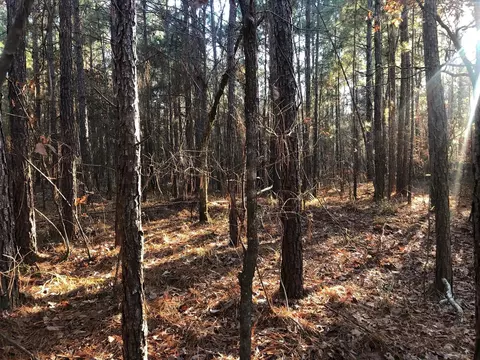 0 Highway 160, Plain Dealing, LA 71064 photo 23