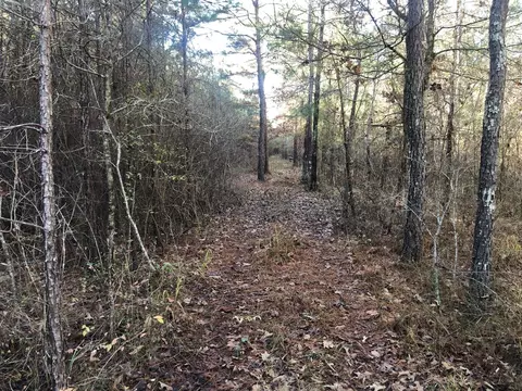 0 Highway 160, Plain Dealing, LA 71064 photo 12