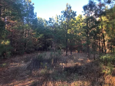 0 Highway 160, Plain Dealing, LA 71064 photo 6