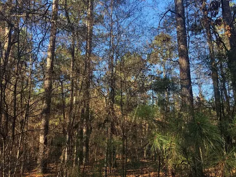 0 Highway 160, Plain Dealing, LA 71064 photo 19
