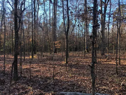 0 Highway 160, Plain Dealing, LA 71064 photo 34