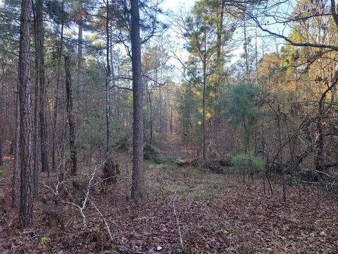0 Highway 160, Plain Dealing, LA 71064 photo 27