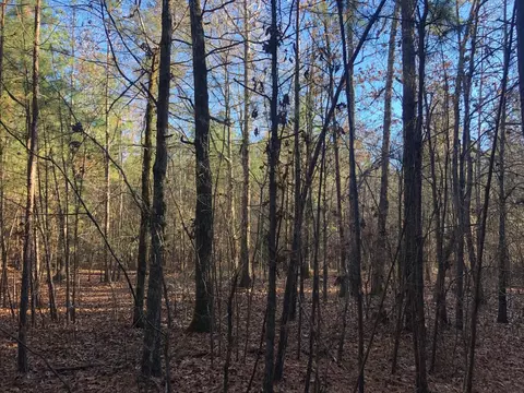 0 Highway 160, Plain Dealing, LA 71064 photo 21