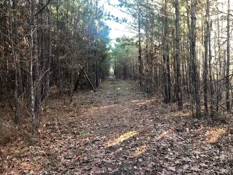 0 Highway 160, Plain Dealing, LA 71064 photo 15
