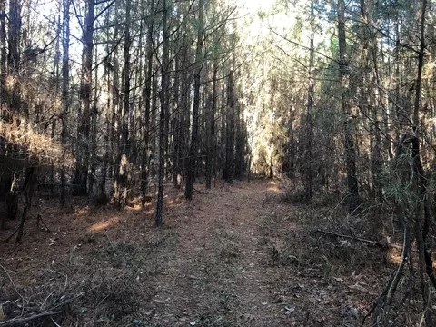 0 Highway 160, Plain Dealing, LA 71064 photo 8